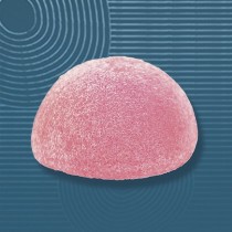 Konjac Sponge